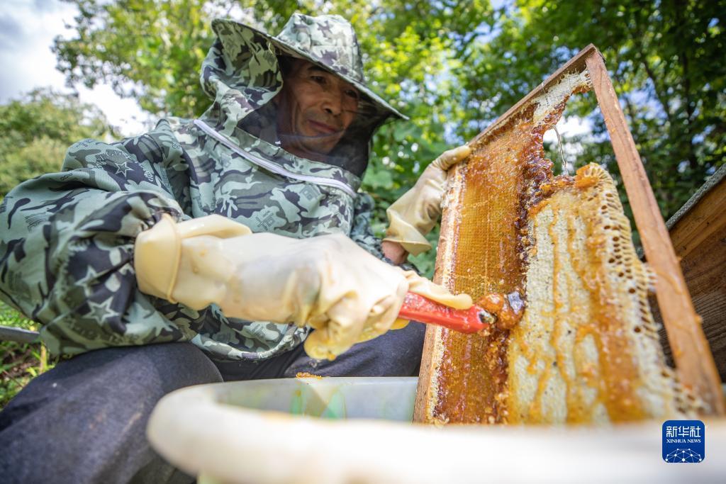 姚记官方网站